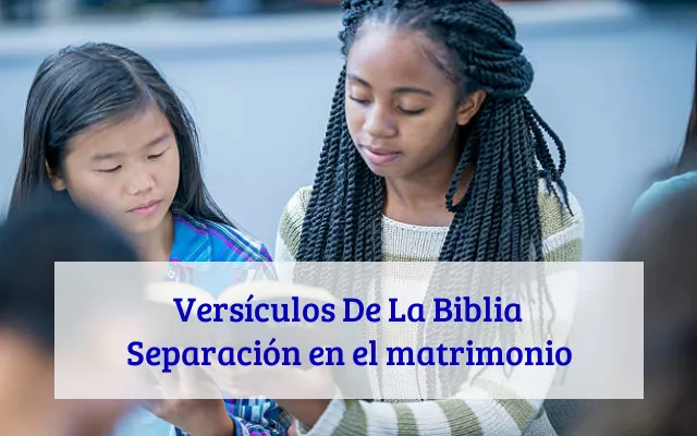 Versículos De La Biblia Separación en el matrimonio