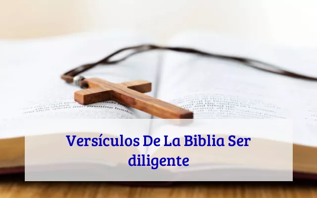 Versículos De La Biblia Ser diligente