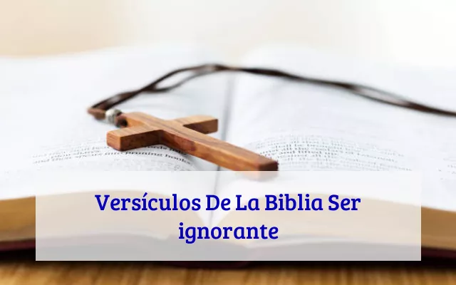 Versículos De La Biblia Ser ignorante