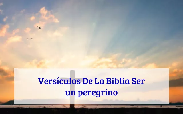 Versículos De La Biblia Ser un peregrino