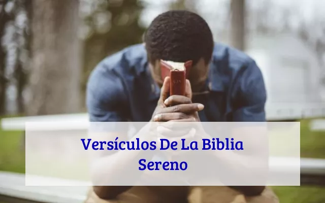 Versículos De La Biblia Sereno