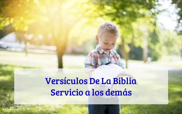 Versículos De La Biblia Servicio a los demás