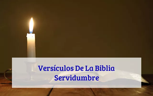 Versículos De La Biblia Servidumbre