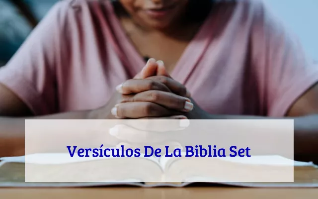 Versículos De La Biblia Set