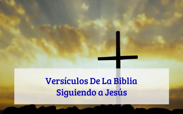 Versículos De La Biblia Siguiendo a Jesús