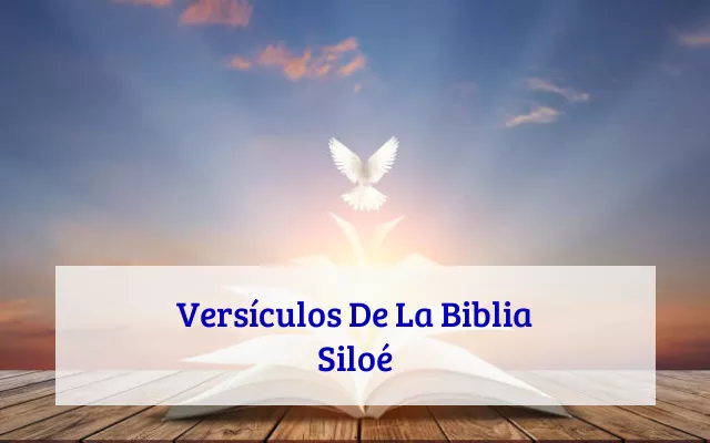 Versículos De La Biblia Siloé