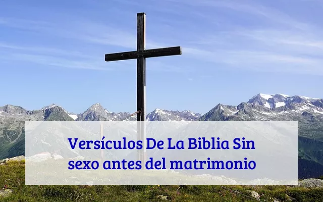 Versículos De La Biblia Sin sexo antes del matrimonio