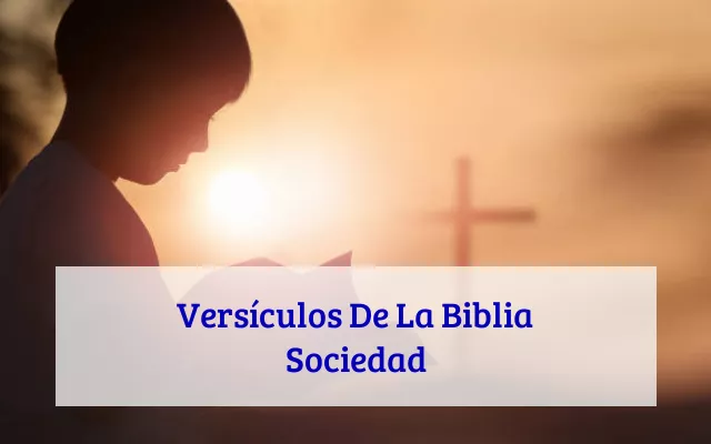 Versículos De La Biblia Sociedad