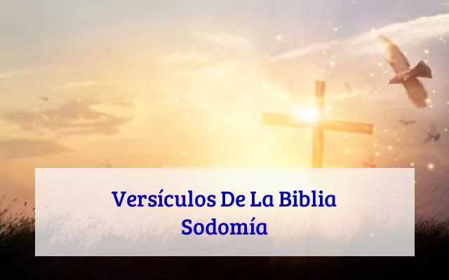 Versículos De La Biblia Sodomía