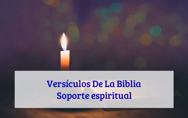 Versículos De La Biblia Soporte espiritual