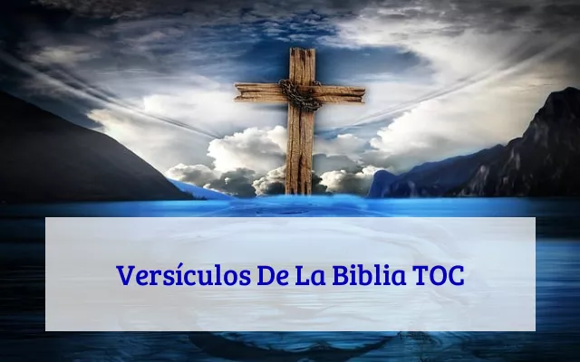 Versículos De La Biblia TOC