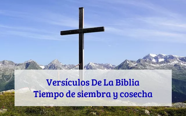 Versículos De La Biblia Tiempo de siembra y cosecha