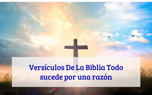 Versículos De La Biblia Todo sucede por una razón