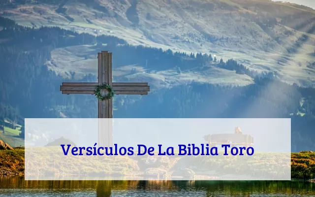 Versículos De La Biblia Toro