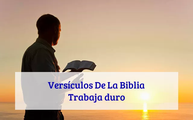 Versículos De La Biblia Trabaja duro