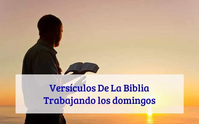 Versículos De La Biblia Trabajando los domingos