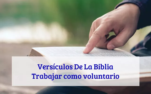 Versículos De La Biblia Trabajar como voluntario