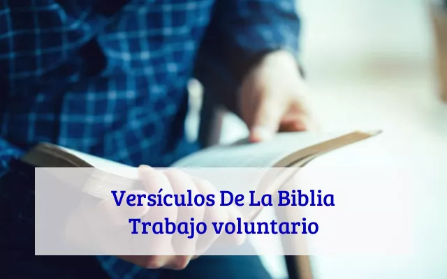 Versículos De La Biblia Trabajo voluntario