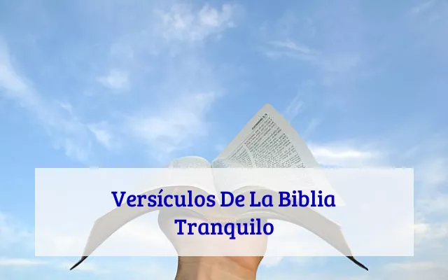Versículos De La Biblia Tranquilo