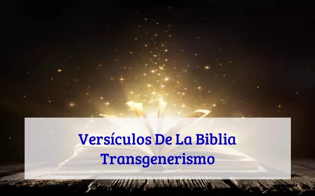 Versículos De La Biblia Transgenerismo