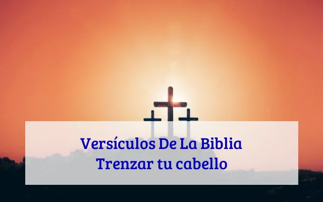 Versículos De La Biblia Trenzar tu cabello