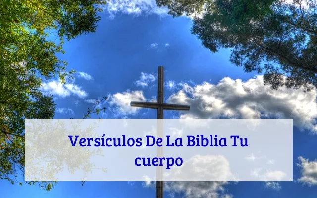 Versículos De La Biblia Tu cuerpo
