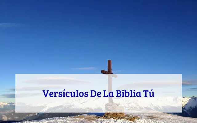Versículos De La Biblia Tú