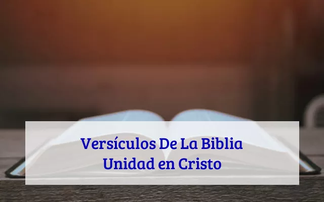 Versículos De La Biblia Unidad en Cristo