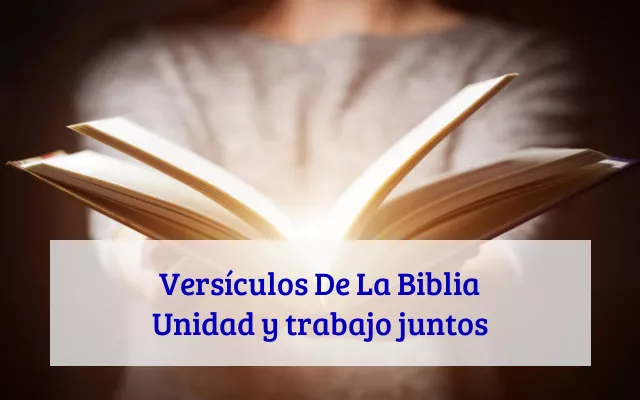 Versículos De La Biblia Unidad y trabajo juntos