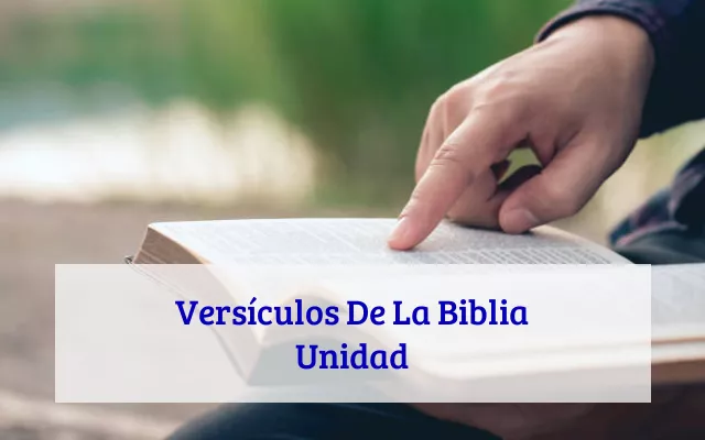 Versículos De La Biblia Unidad