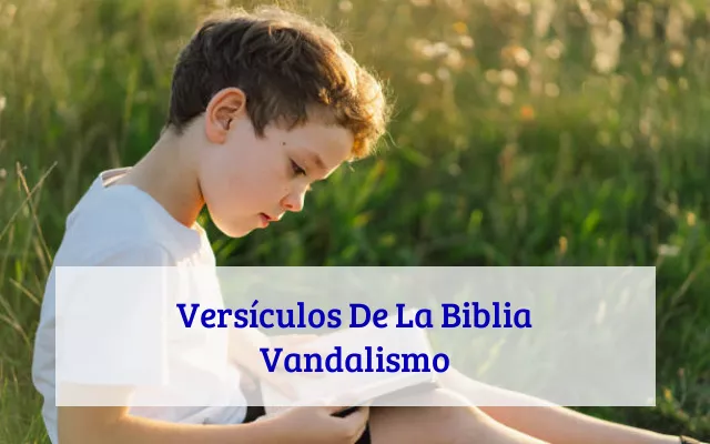 Versículos De La Biblia Vandalismo