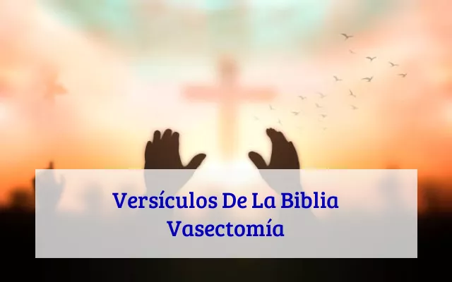 Versículos De La Biblia Vasectomía