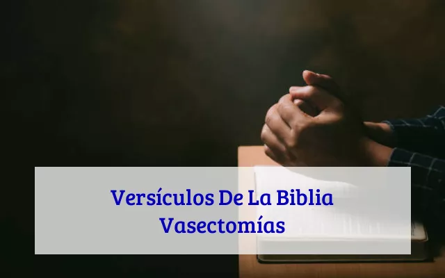 Versículos De La Biblia Vasectomías