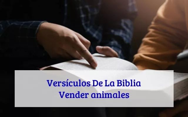 Versículos De La Biblia Vender animales