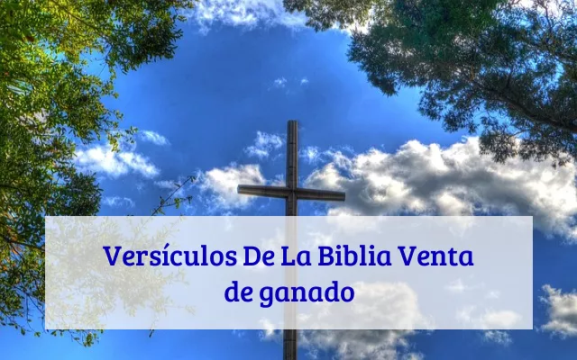 Versículos De La Biblia Venta de ganado