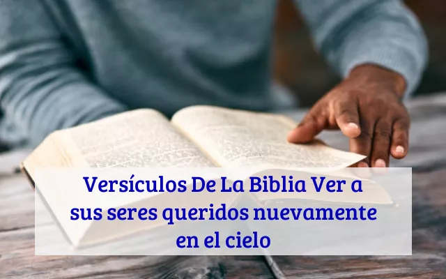 Versículos De La Biblia Ver a sus seres queridos nuevamente en el cielo