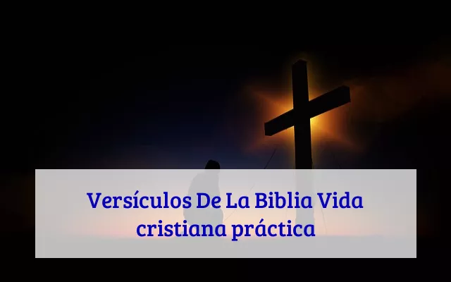 Versículos De La Biblia Vida cristiana práctica