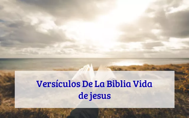 Versículos De La Biblia Vida de jesus