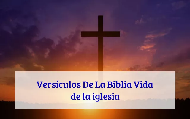 Versículos De La Biblia Vida de la iglesia