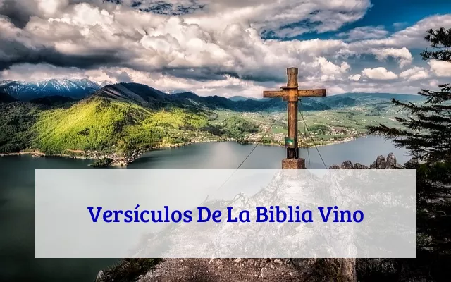 Versículos De La Biblia Vino