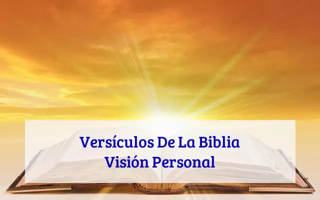 Versículos De La Biblia Visión Personal