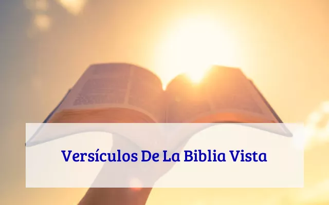 Versículos De La Biblia Vista