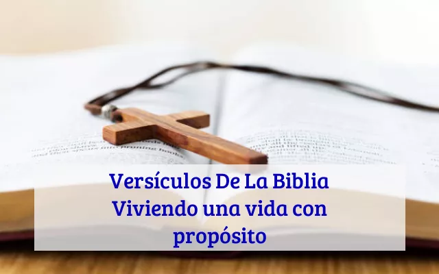 Versículos De La Biblia Viviendo una vida con propósito