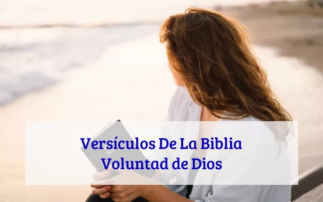 Versículos De La Biblia Voluntad de Dios