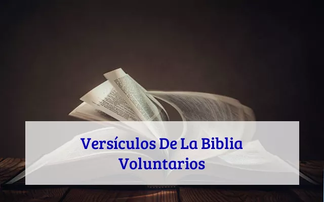 Versículos De La Biblia Voluntarios