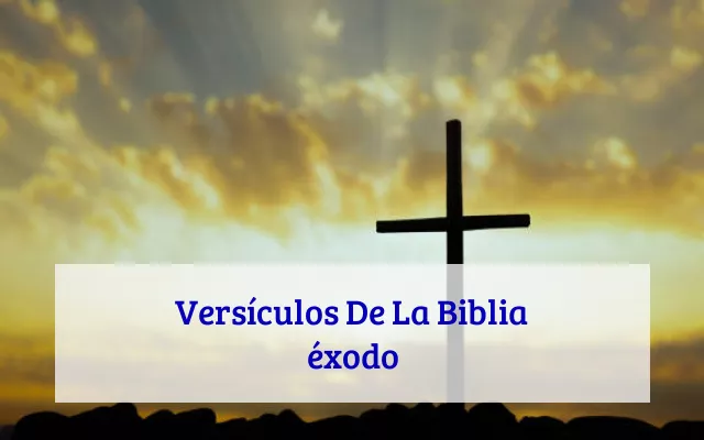 Versículos De La Biblia éxodo