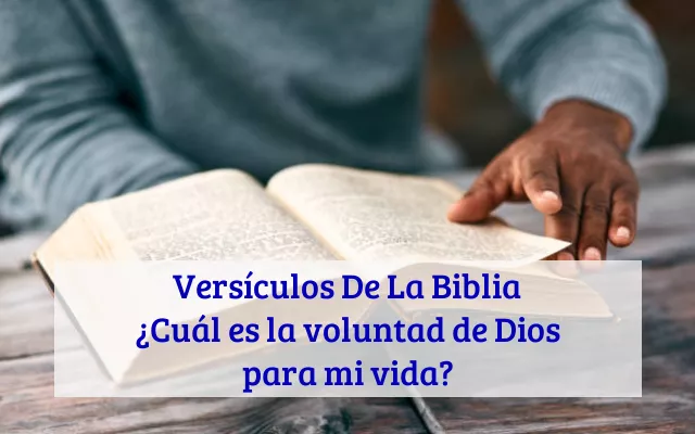 Versículos De La Biblia ¿Cuál es la voluntad de Dios para mi vida?