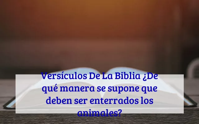 Versículos De La Biblia ¿De qué manera se supone que deben ser enterrados los animales?