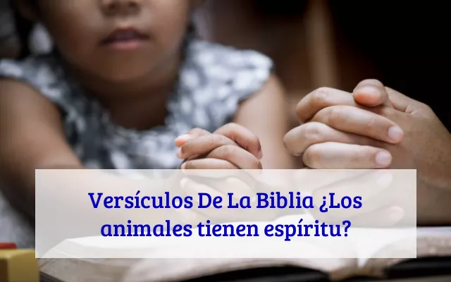 Versículos De La Biblia ¿Los animales tienen espíritu?