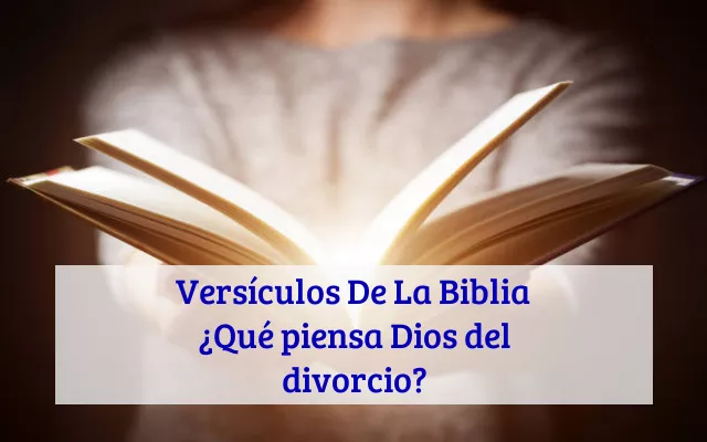 Versículos De La Biblia ¿Qué piensa Dios del divorcio?